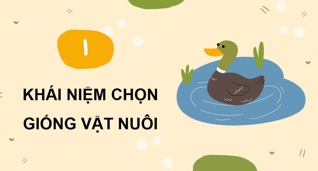 Chọn giống vật nuôi