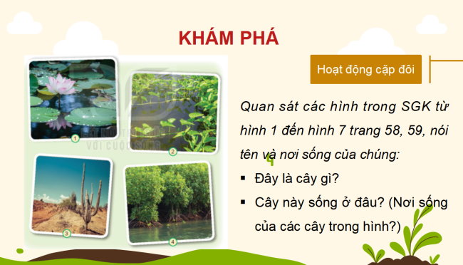 PowerPoint Tự nhiên và xã hội 2 Bài 16: Thực vật sống ở đâu