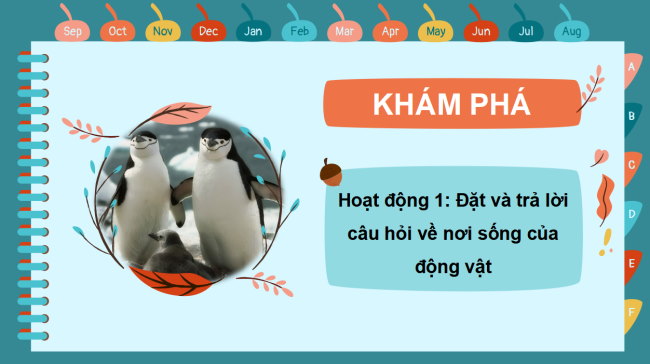 PowerPoint Tự nhiên và xã hội 2 Bài 17: Động vật sống ở đâu