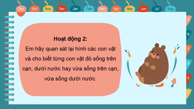 PowerPoint Tự nhiên và xã hội 2 Bài 17: Động vật sống ở đâu