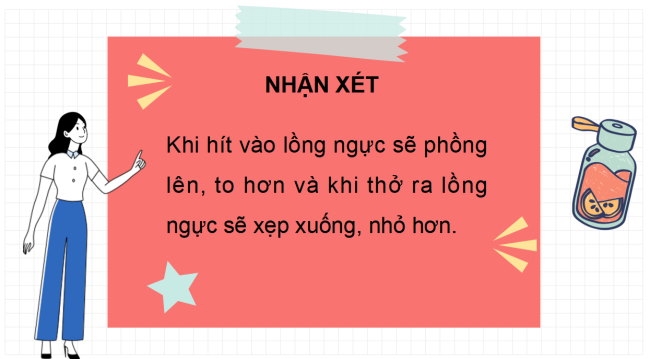 PowerPoint Tự nhiên và xã hội 2 Bài 23: Tìm hiểu cơ quan hô hấp