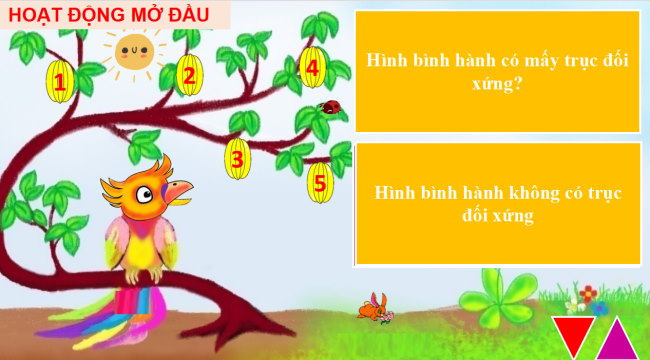 PowerPoint Toán 6 Bài 6: Hình có tâm đối xứng