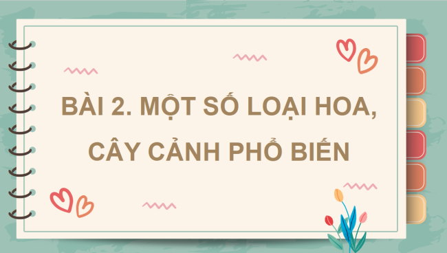 PowerPoint Công nghệ 4 Bài 2: Một số loại hoa, cây cảnh phổ biến