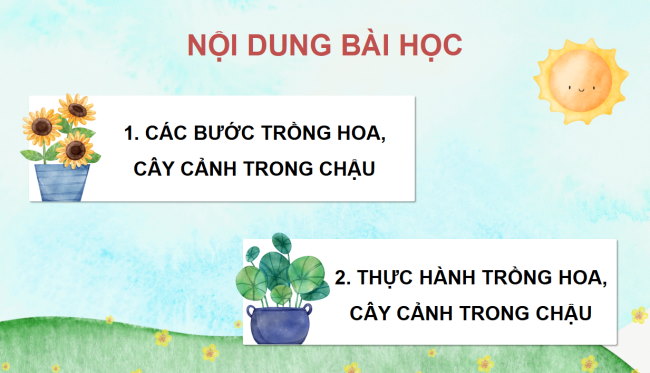 PowerPoint Công nghệ 4 Bài 5: Trồng hoa, cây cảnh trong chậu