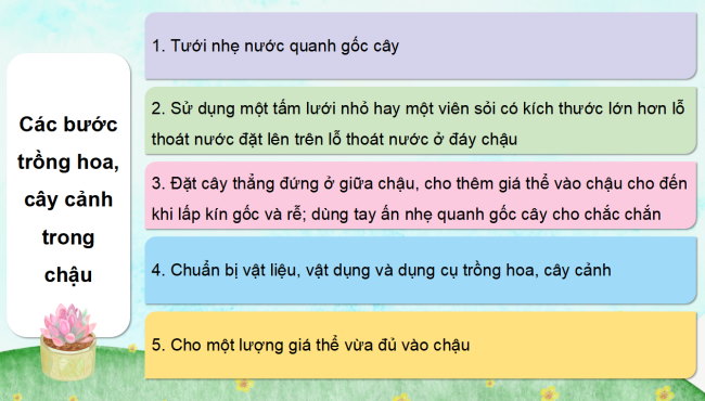 PowerPoint Công nghệ 4 Bài 5: Trồng hoa, cây cảnh trong chậu