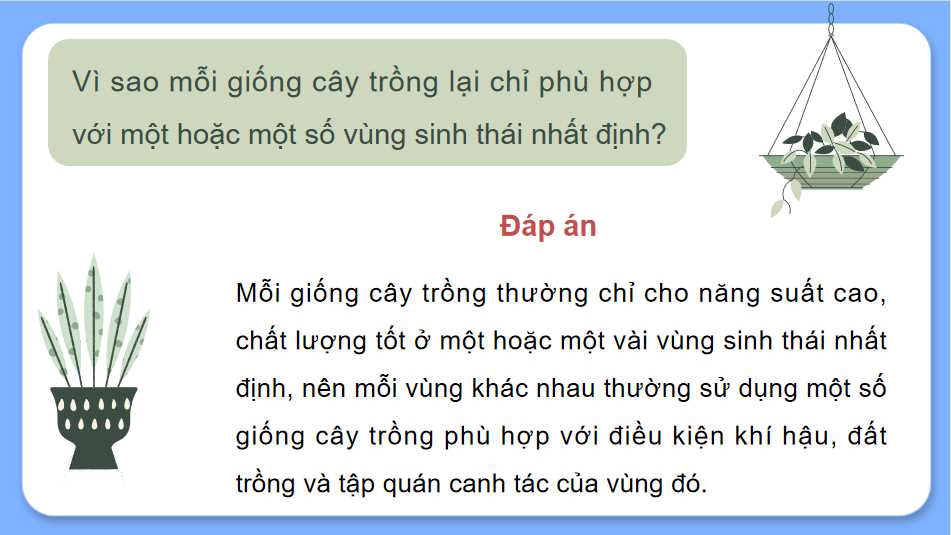 Khái niệm và vai trò của giống cây trồng