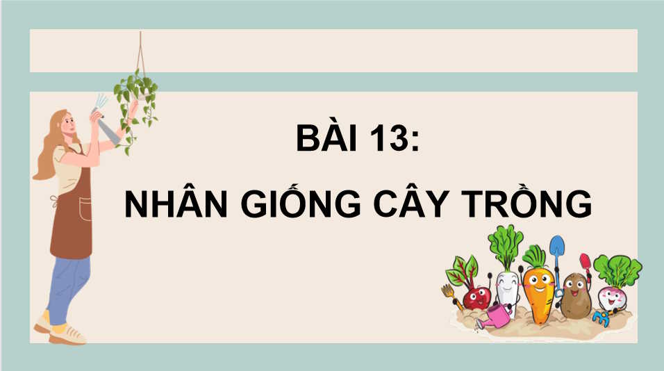 Nhân giống cây trồng