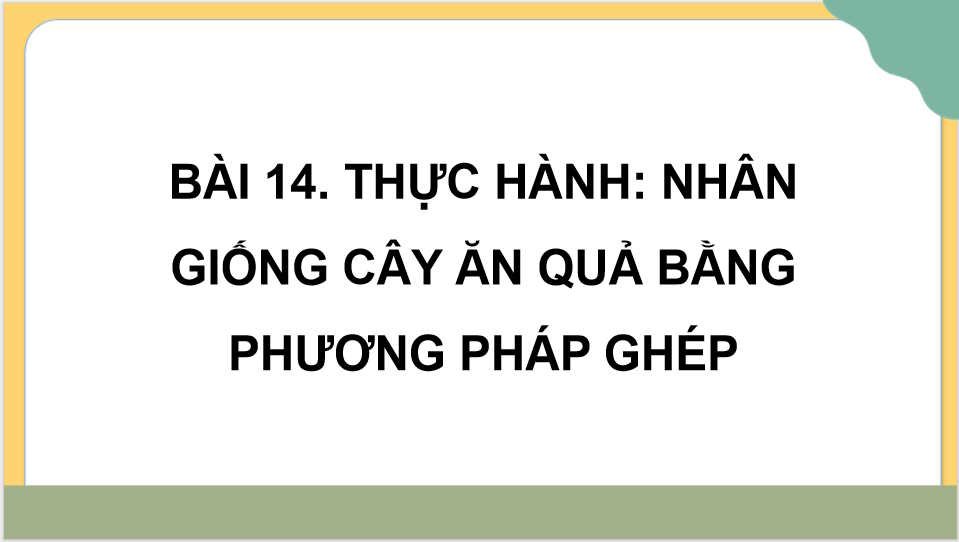 Thực hành Nhân giống cây ăn quả bằng phương pháp ghép