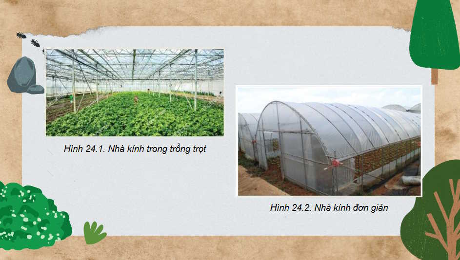 Một số công nghệ cao trong trồng trọt