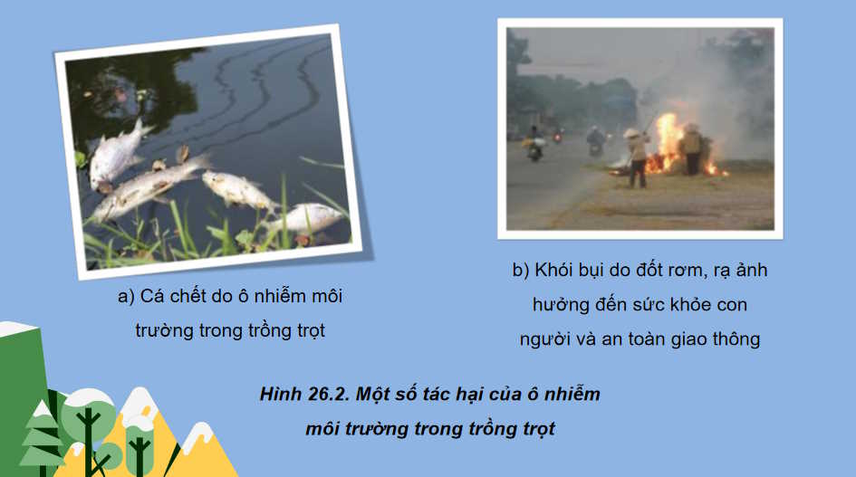 Sự cần thiết phải bảo vệ môi trường trong trồng trọt