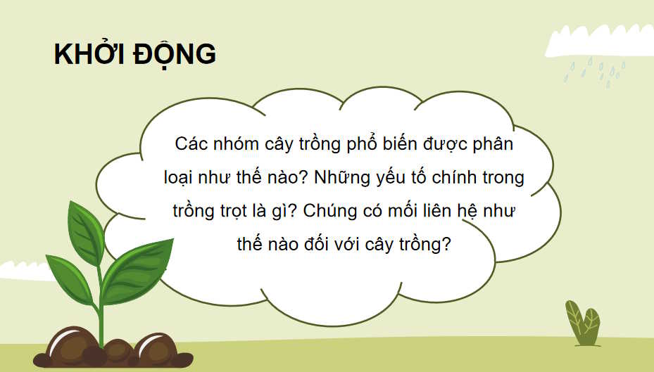 Công nghệ Trồng trọt 10 Kết nối tri thức HK1