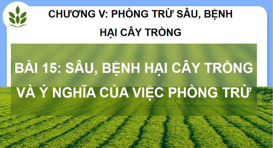 Công nghệ Trồng trọt 10 Kết nối tri thức HK2