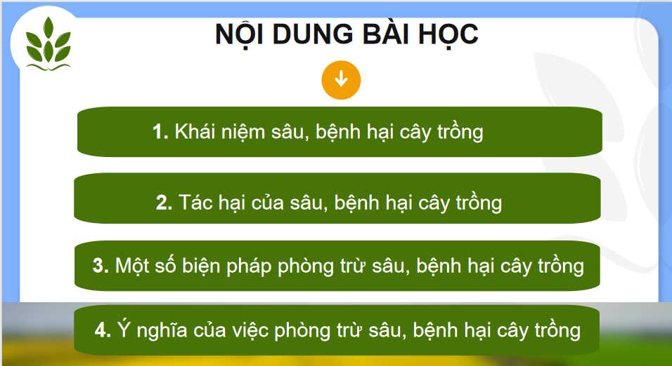 Công nghệ Trồng trọt 10 Kết nối tri thức HK2