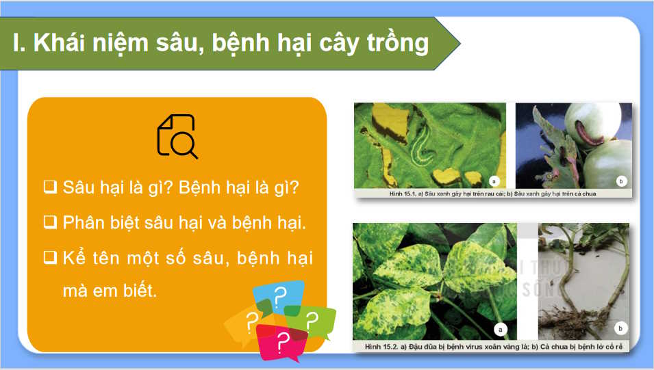 Công nghệ Trồng trọt 10 Kết nối tri thức HK2