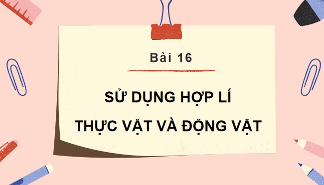 TNXH 3 KNTT ki 2 2*853166