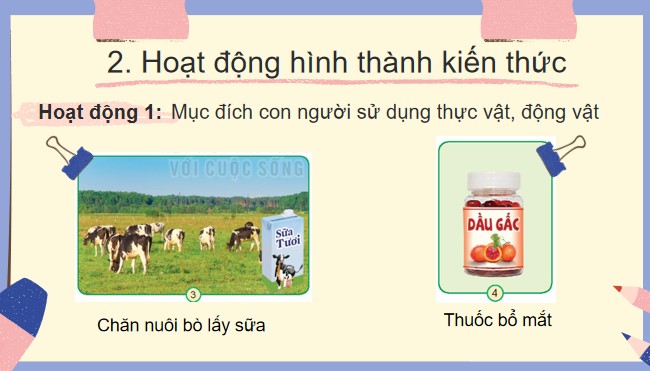 TNXH 3 KNTT ki 2 7*853164