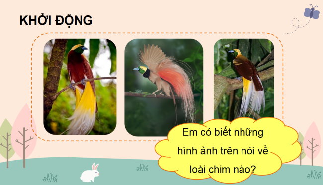 PowerPoint Tiếng Việt 3 Bài 6: Kể chuyện Bộ lông rực rỡ của chim thiên đường