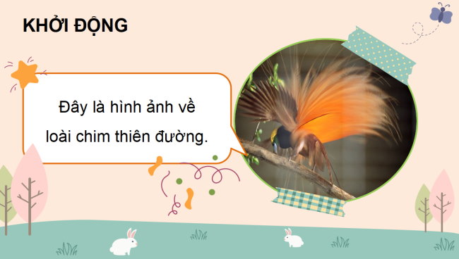 PowerPoint Tiếng Việt 3 Bài 6: Kể chuyện Bộ lông rực rỡ của chim thiên đường