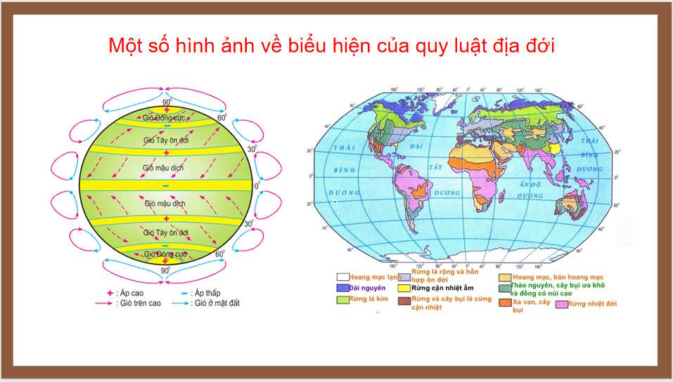 Quy luật địa đới và quy luật phi địa đới