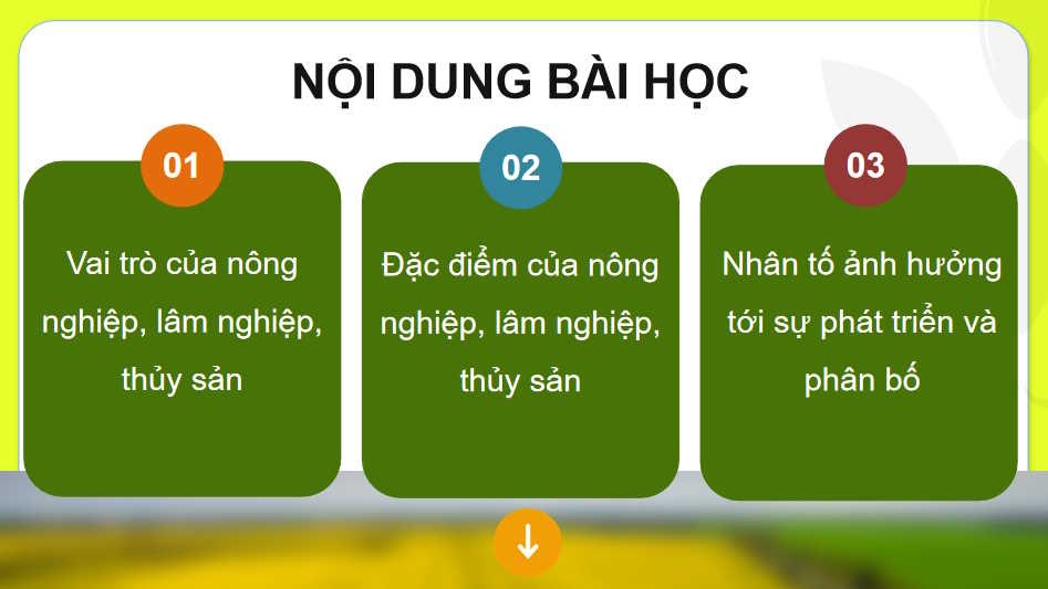  Vai trò đặc điểm các nhân tố ảnh hưởng tới phát triển và phân bố nông nghiệp lâm nghiệp thủy sản