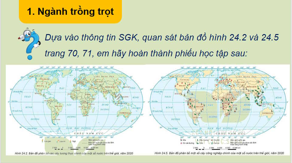  Địa lí ngành nông nghiệp