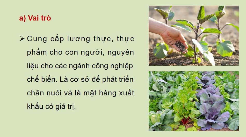  Địa lí ngành nông nghiệp