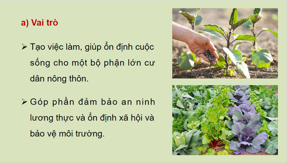  Địa lí ngành nông nghiệp