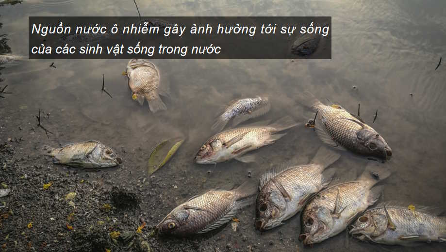  Tác động của công nghiệp đối với môi trường phát triển năng lượng tái tạo định hướng phát triển công nghiệp trong tương lai