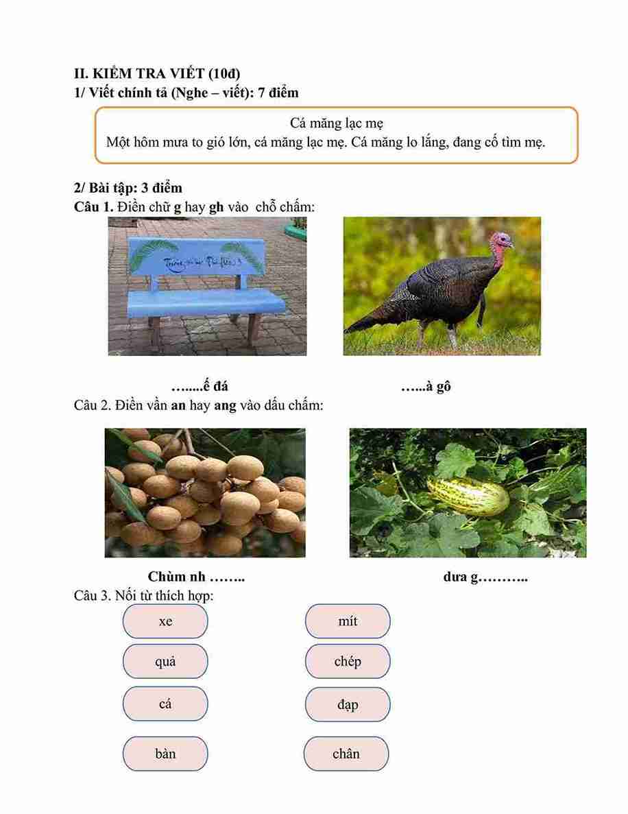 05 de thi hoc ki 1 lop 1 2*855493