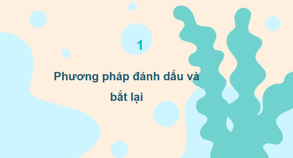 Ước tính số cá thể trong một quần thể