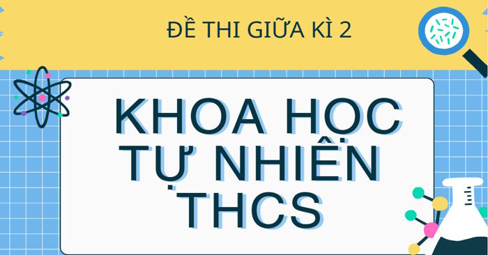 Đề thi Giữa kì 2 Khoa học tự nhiên 6, 7, 8, 9 theo CV 7991 - Kết nối tri thức