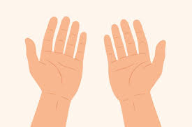 Ôn tập Tiếng Anh lớp 3 Unit 5 Smart Start minh họa 2