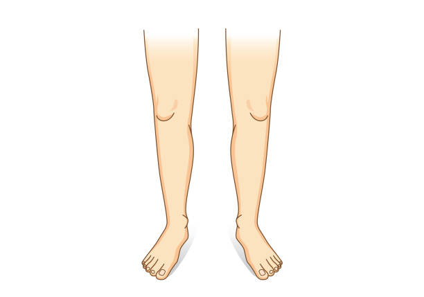 Ôn tập Tiếng Anh lớp 3 Unit 5 Smart Start minh họa 3