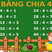 Giáo án  Toán 3: Bảng chia 4