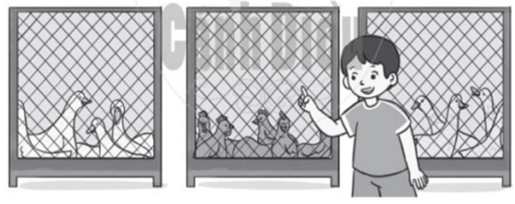 Vở bài tập Toán lớp 2 Bài 75: Các số có ba chữ số (tiếp theo) (trang 50) | Cánh diều