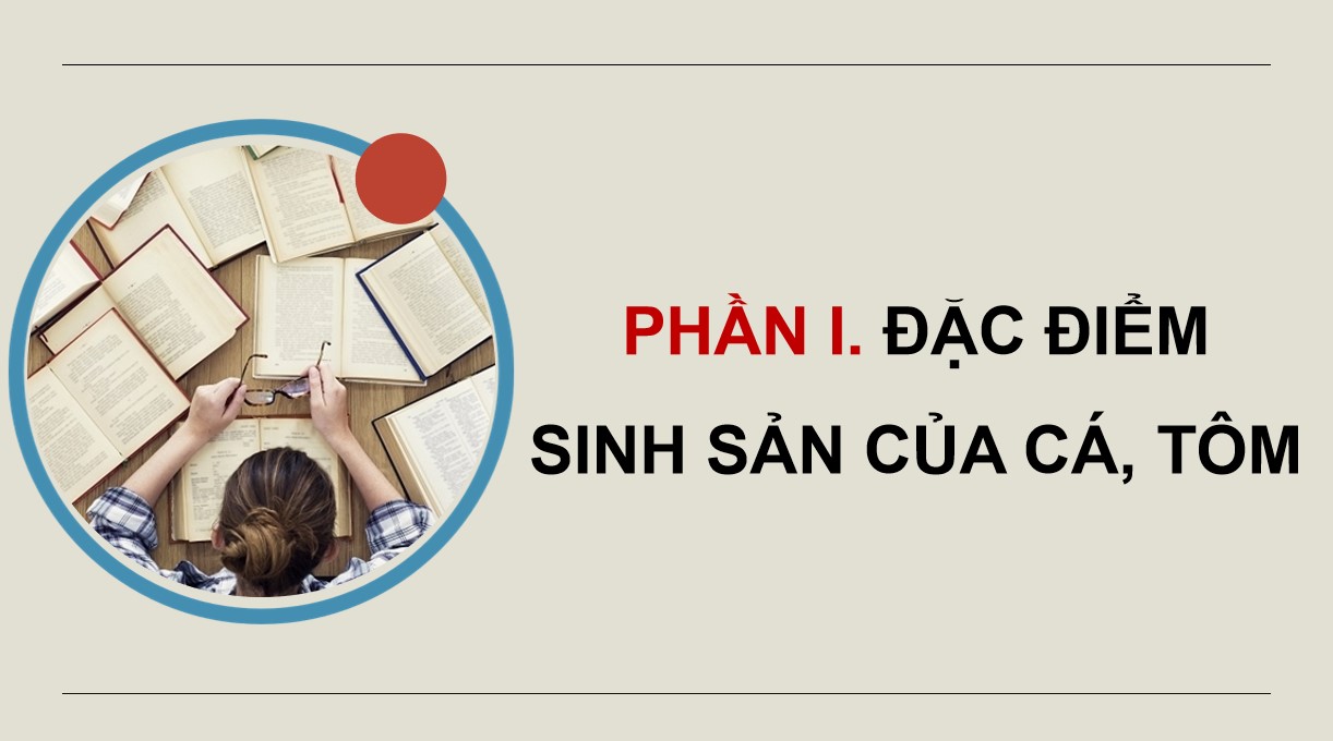 PowerPoint Công nghệ 12 Kết nối tri thức Bài Sinh sản của cá và tôm