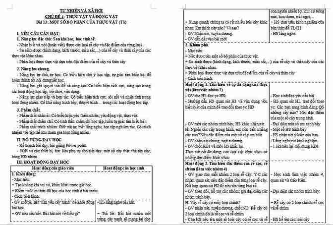 Giáo án Tự nhiên và xã hội lớp 3 Bài 12: Ôn tập chủ đề cộng đồng địa phương
