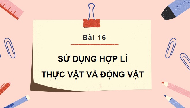 TNXH 3 bai 16 2*866099