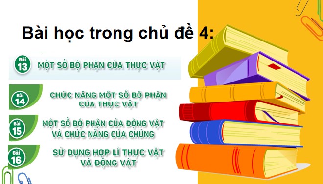 TNXH 3 bai 17 4*866165