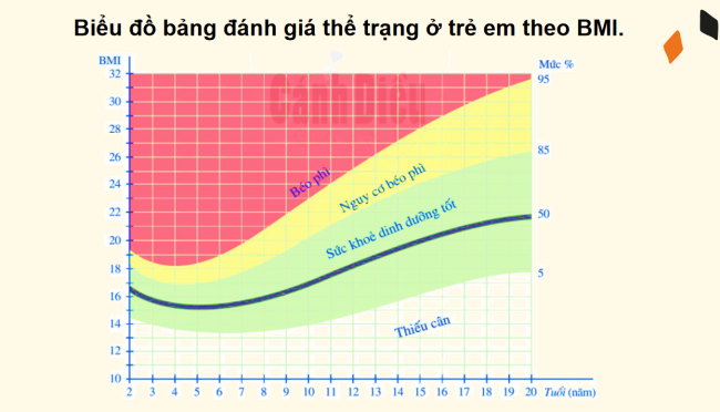 PowerPoint Toán 6 Chủ đề 2: Chỉ số khối cơ thể (BMI)