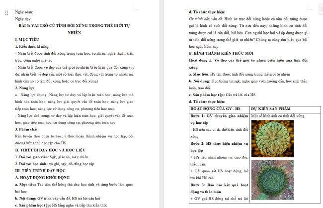 Giáo án Toán 6 Bài 3: Vai trò của tính đối xứng trong thế giới tự nhiên