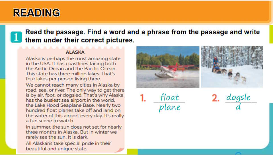 Giáo án Tiếng Anh 7 Review 4: Skills