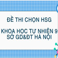 Đề thi chọn HSG Khoa học tự nhiên 9 sở GD&ĐT Hà Nội cấp thành phố