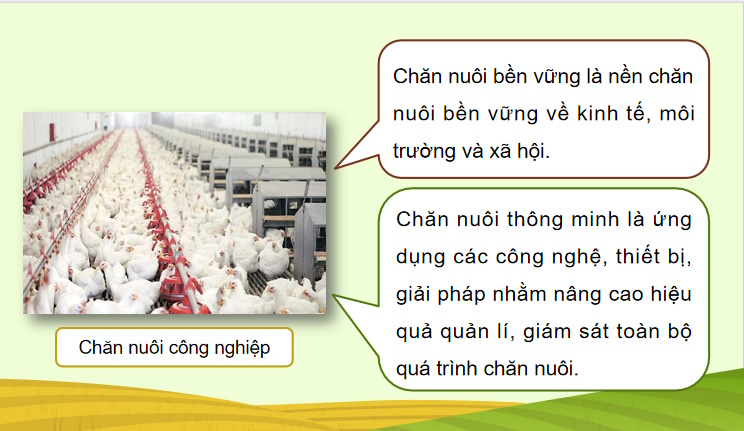 Giáo án PowerPoint Công nghệ Chăn nuôi 11