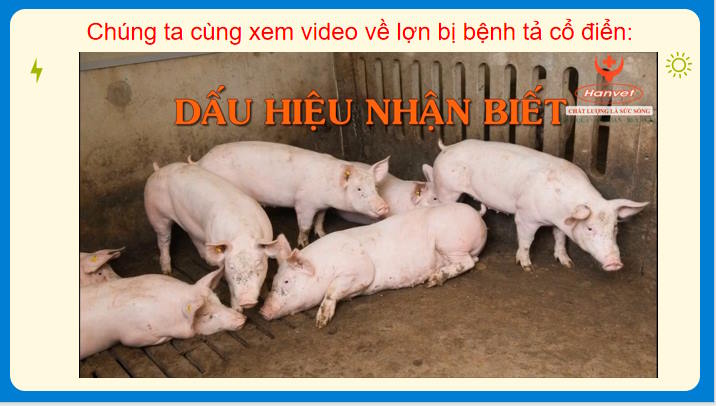 Giáo án PowerPoint Công nghệ Chăn nuôi 11 Bài 12