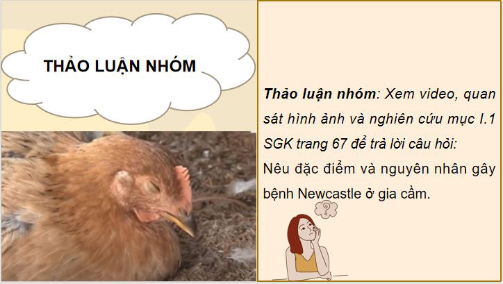 Giáo án PowerPoint Công nghệ Chăn nuôi 11 Bài 13
