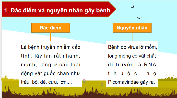 Giáo án PowerPoint Công nghệ Chăn nuôi 11 Bài 14