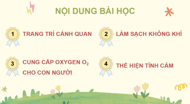 PowerPoint Công nghệ 4 Kết nối tri thức Học kì 1
