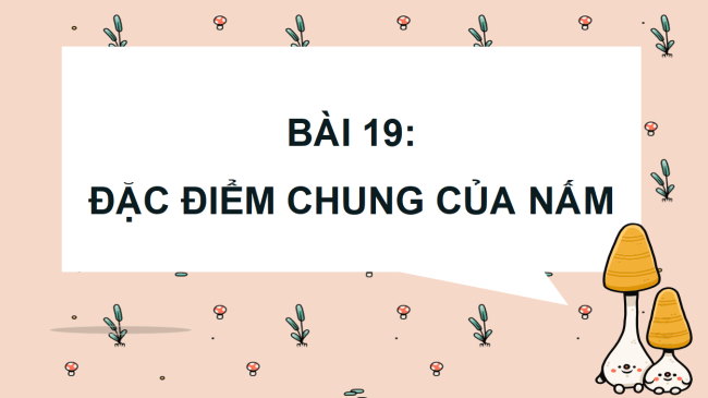 PowerPoint Khoa học 4 Kết nối tri thức Học kì 2