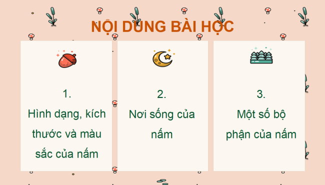 PowerPoint Khoa học 4 Kết nối tri thức Học kì 2